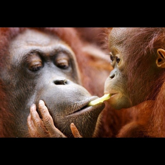 SHARE!  SHARE!  SHARE! - Picture 6 of 7